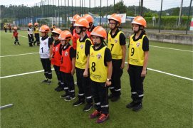 Fédération Nationale des Pompiers